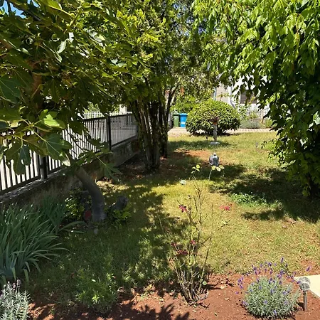 Апартаменти Jasna *